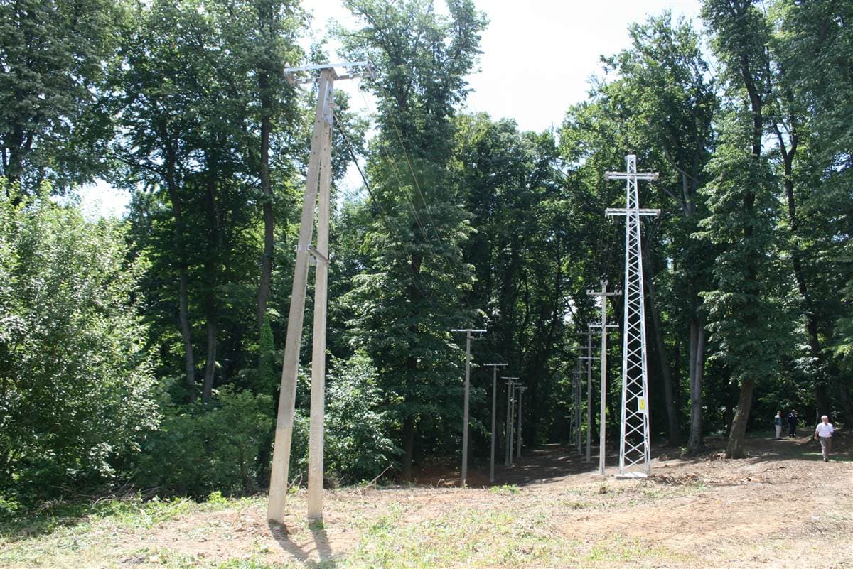 A line of concrete and lattice power poles running through summer woodland, with three people walking beside it.